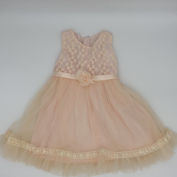 Blink Blank Elegant Sleeveless Lace Dress Flower Girls - Picture 3 of 13